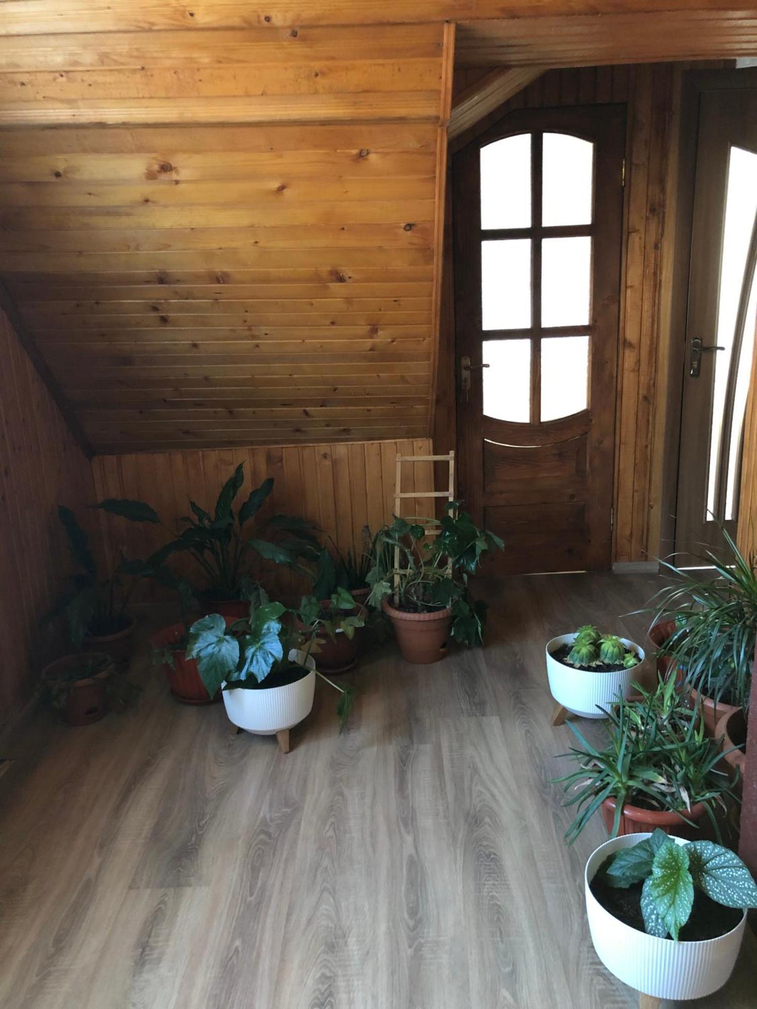 House Mold Villa Lazeshchyna Exterior photo